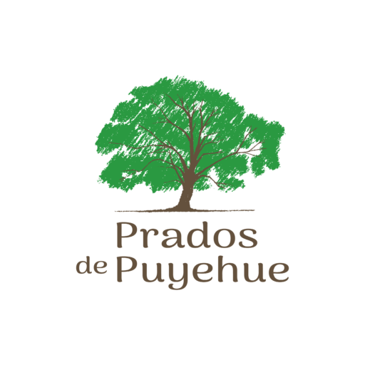 cropped-cropped-logos-Prados-de-Puyehue-copia-3_Mesa-de-trabajo-1.png