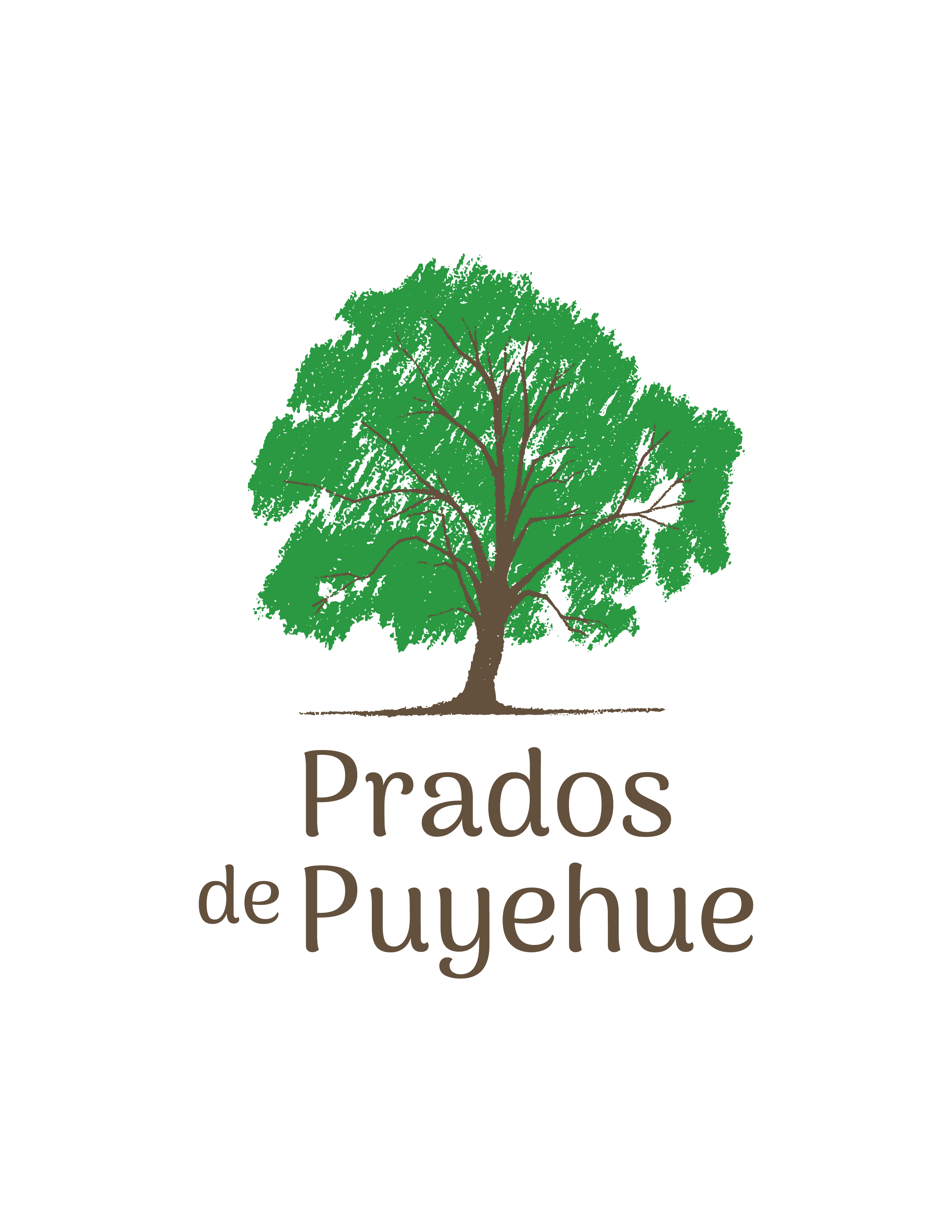 Prados de Puyehue